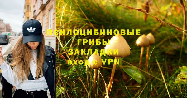 первитин Алексин