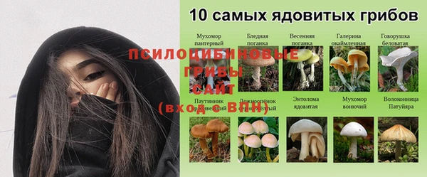 первитин Алексин