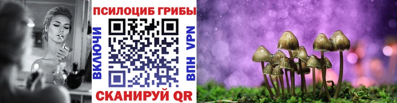 Псилоцибиновые грибы Psilocybine cubensis  Павловская 